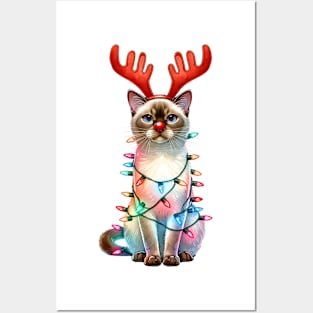 Christmas Red Nose Tonkinese Cat Posters and Art